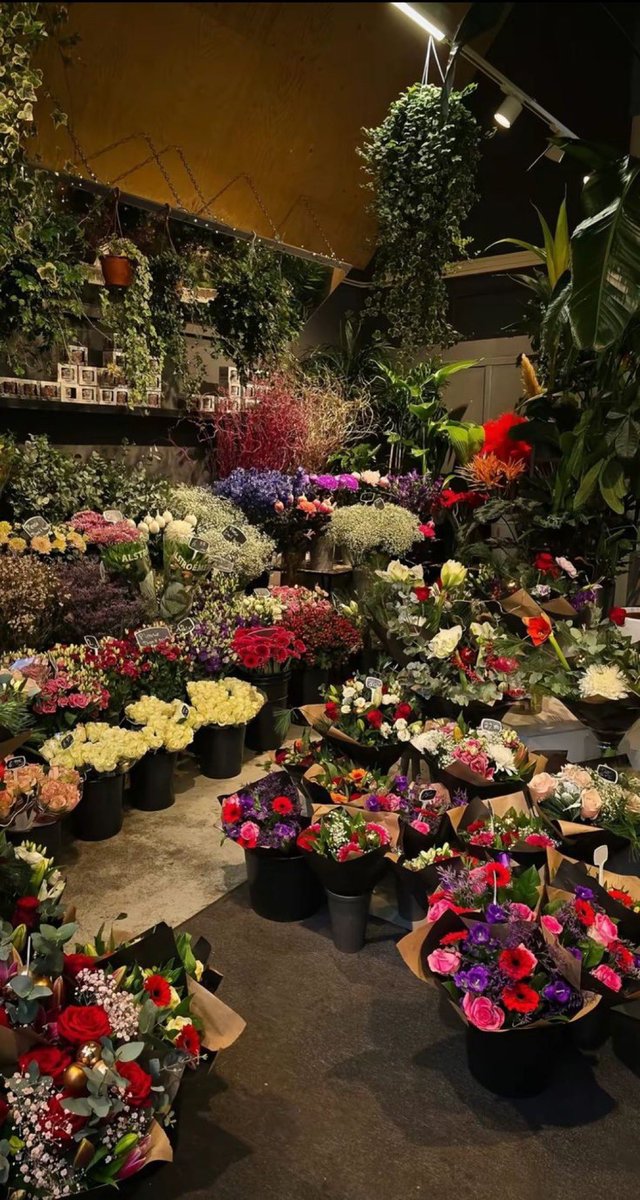 1leio's tweet image. 