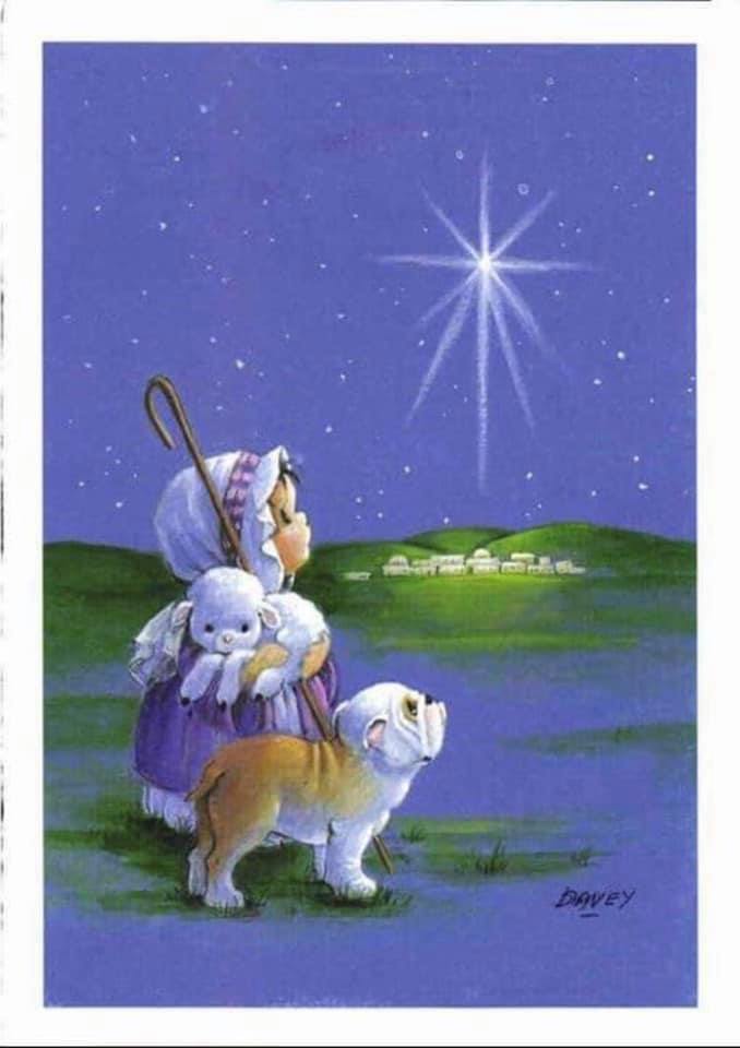 MidAtlanticBDR's tweet image. Wishing all of our friends &amp;amp; supporters a very #MerryChristmas