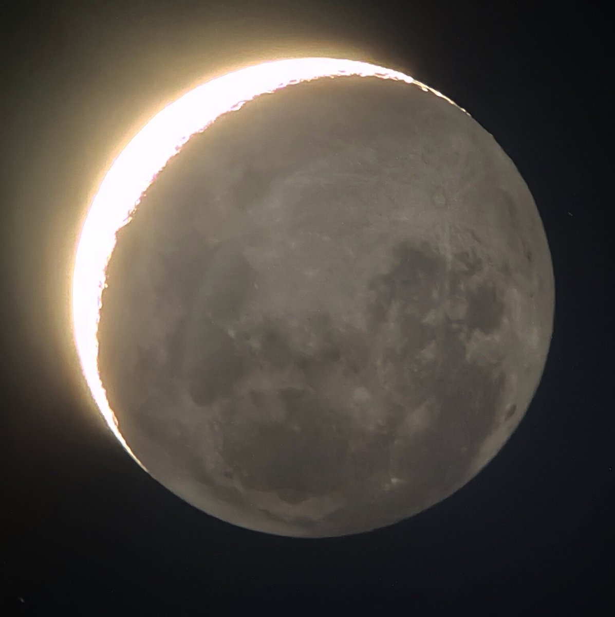 Tactical2Cat 🔭🇵🇱 tweet media