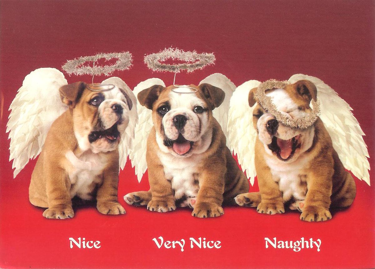 MidAtlanticBDR's tweet image. Wishing all of our friends &amp;amp; supporters a very #MerryChristmas