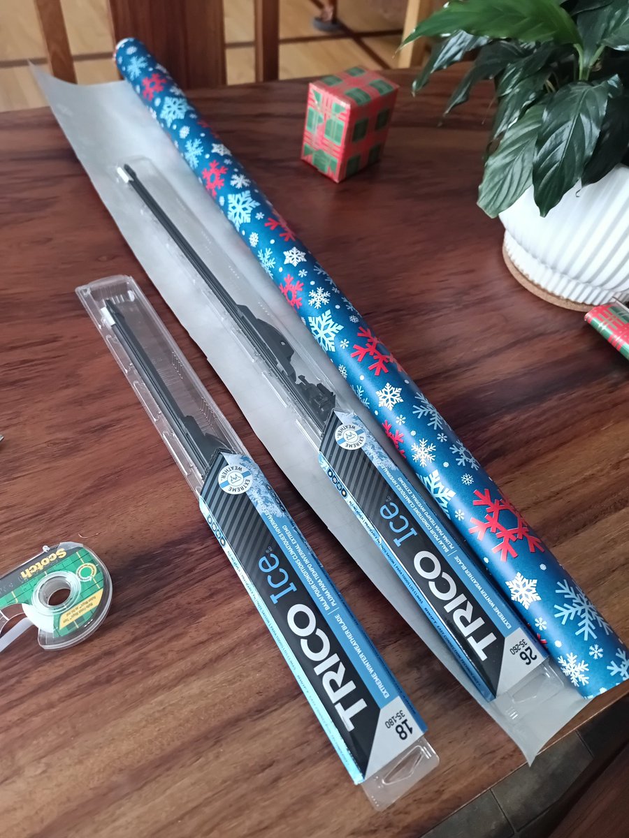 Kelsey Solick tweet media