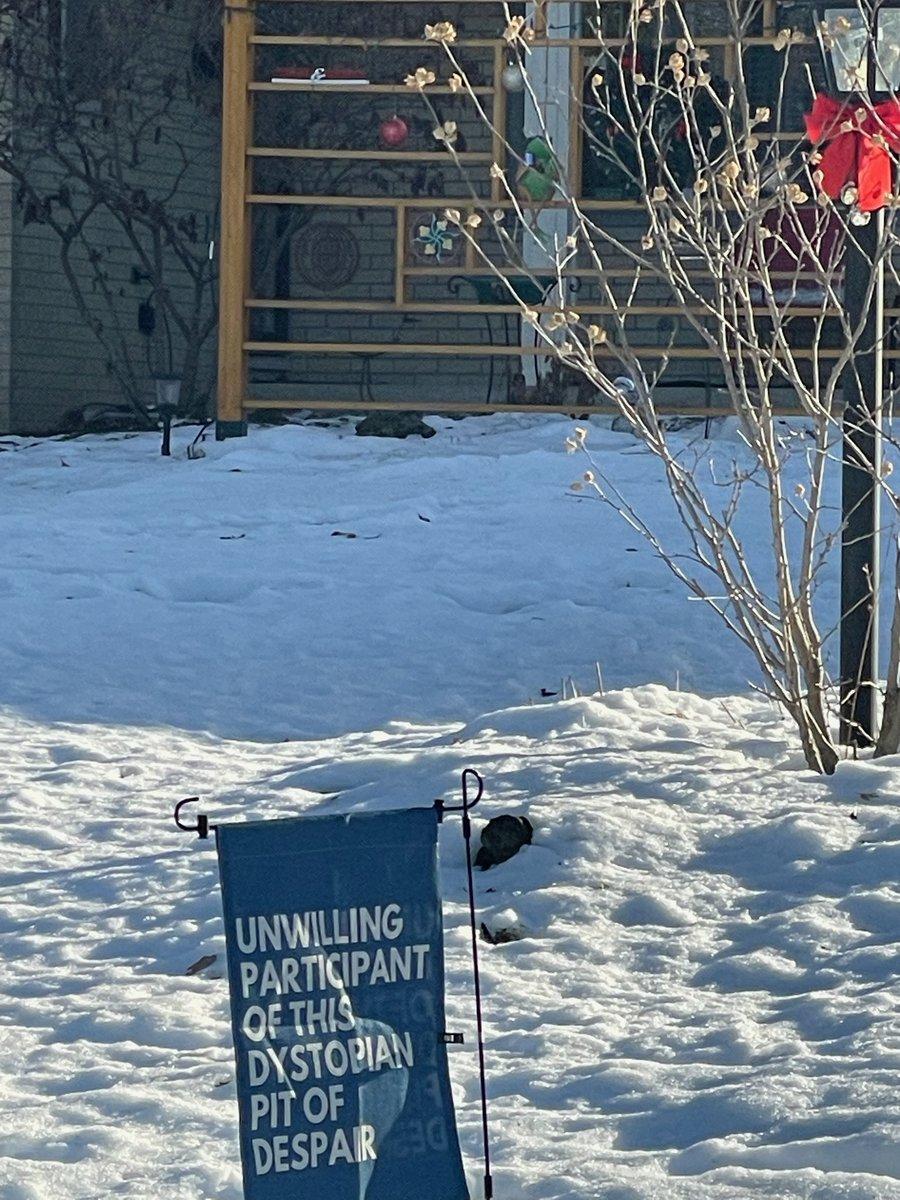 Dan Benbow 🌊🌊🌊 tweet media