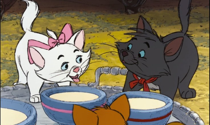 violett_1p's tweet image. 