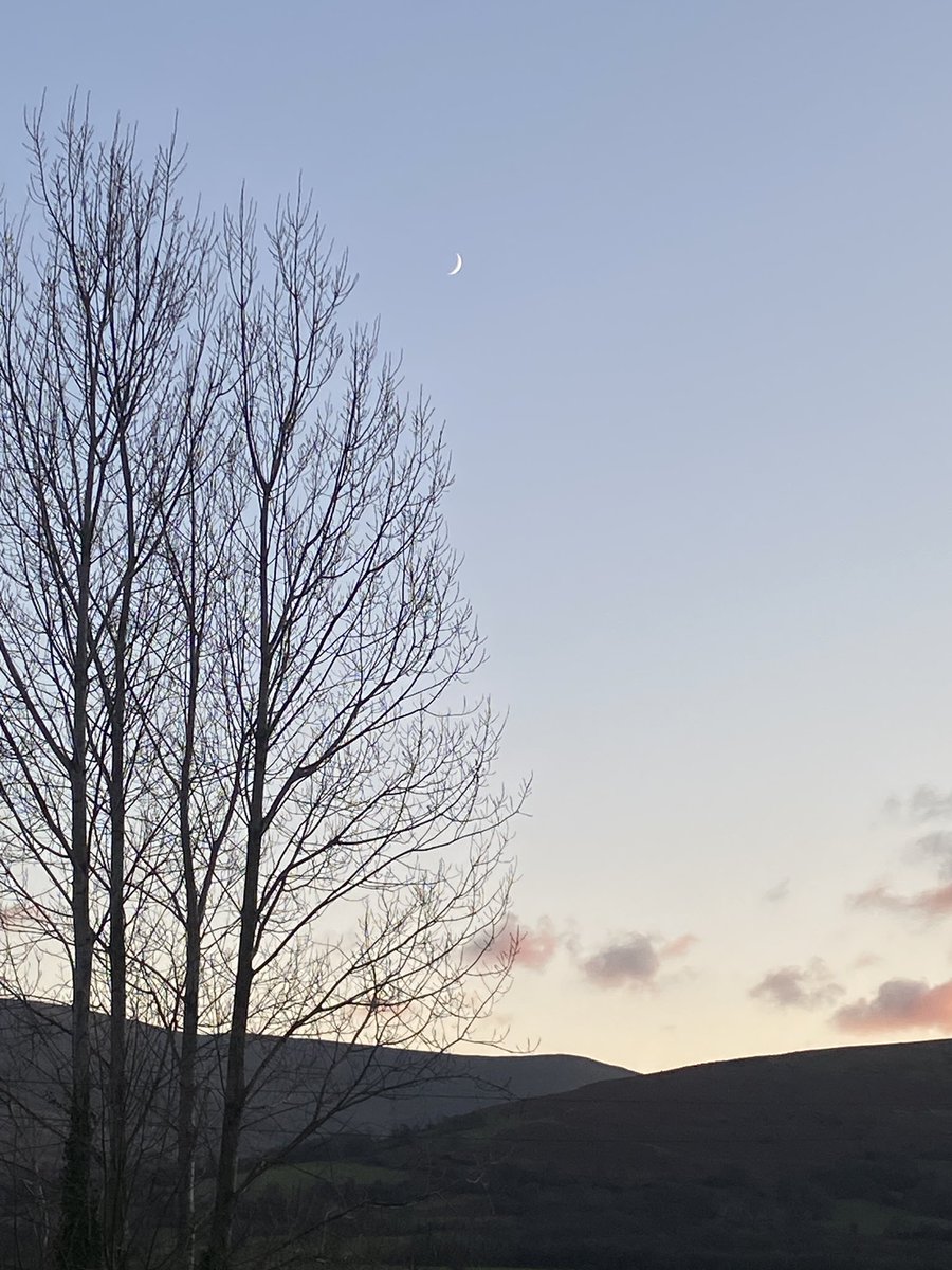 marcellenewbold's tweet image. Gorgeous evening out of the city