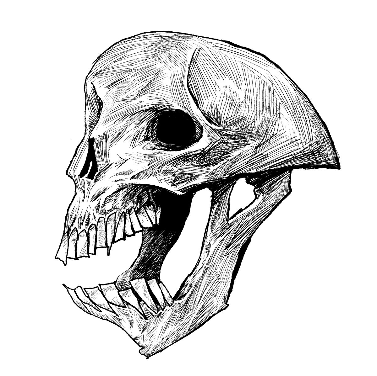 Orcius01_'s tweet photo. skull piece https://t.co/SSfeIslMBd