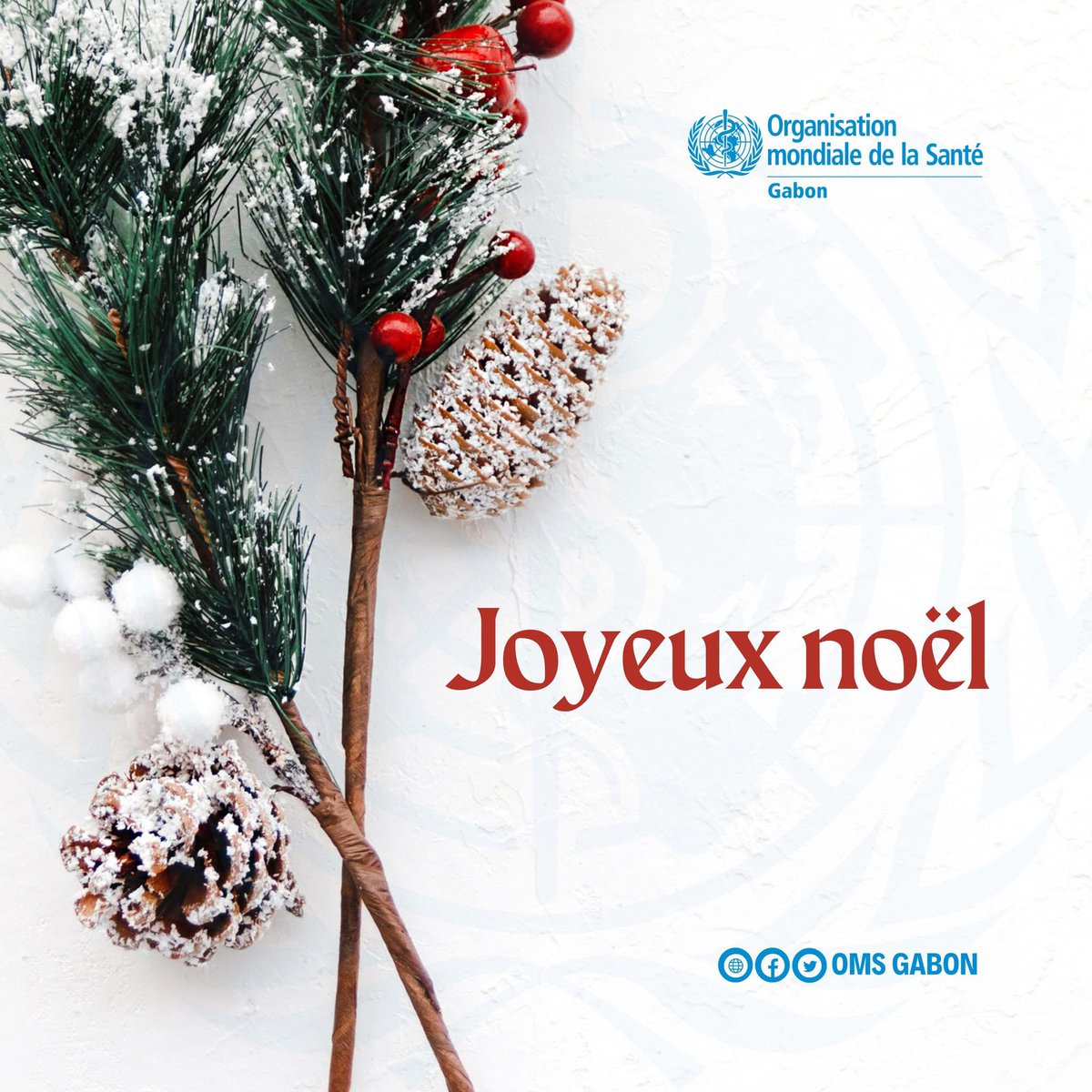 Joyeux Noël à tous🎄
#SantéPourTous