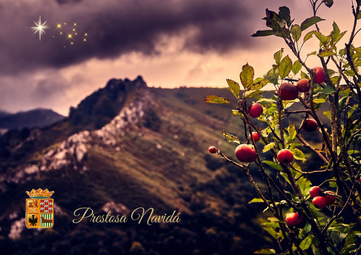 Con nuestros mejores deseos de paz, salud y prosperidad para todo el mundo, feliz Navidad. 

✨️✨️✨️✨️✨️✨️✨️✨️✨️✨️✨️✨️✨️✨️✨️✨️

Colos nuesos meyores deseos de paz, salú y prosperidá pa tol mundu, prestosa Navidá.