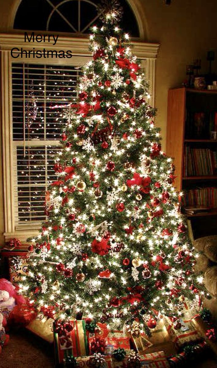 Ce sapin de Noël est pour vous et n’attend que vous pour la compléter…
Joyeux Noël 🎄 chères abonnés ❤️