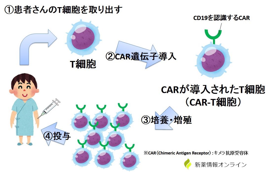 shinyaku_online's tweet image. キムリアは国内初の「CAR-T細胞（キメラ抗原受容体T細胞）療法」として登場した画期的な医薬品です！！

薬価収載された時点では、国内過去最高の約3,350万円（1患者あたり）と話題になりましたが、こーゆーものこそ皆保険で相互扶助すべきですよね😌