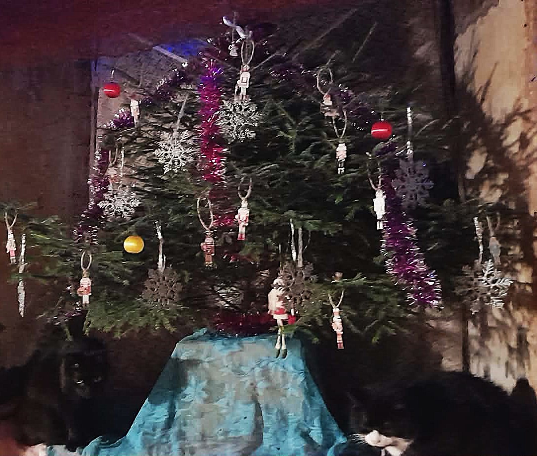 //And guess who got the most badass tree now, and very very warm feet and everything else? ☺️☺️☺️🥰❤️❤️❤️ Grazie, amore mio!