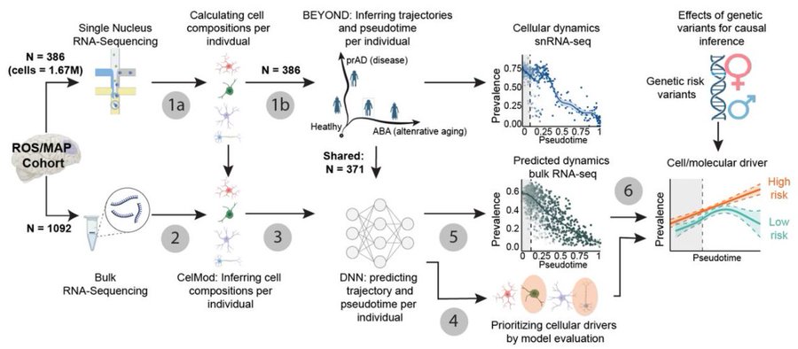 Barak Raveh tweet media