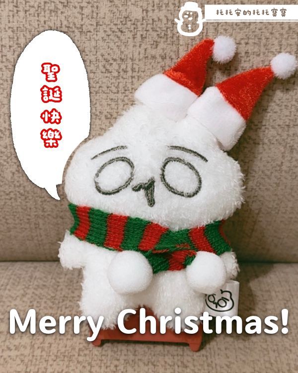 托托安🐰🥽 tweet media