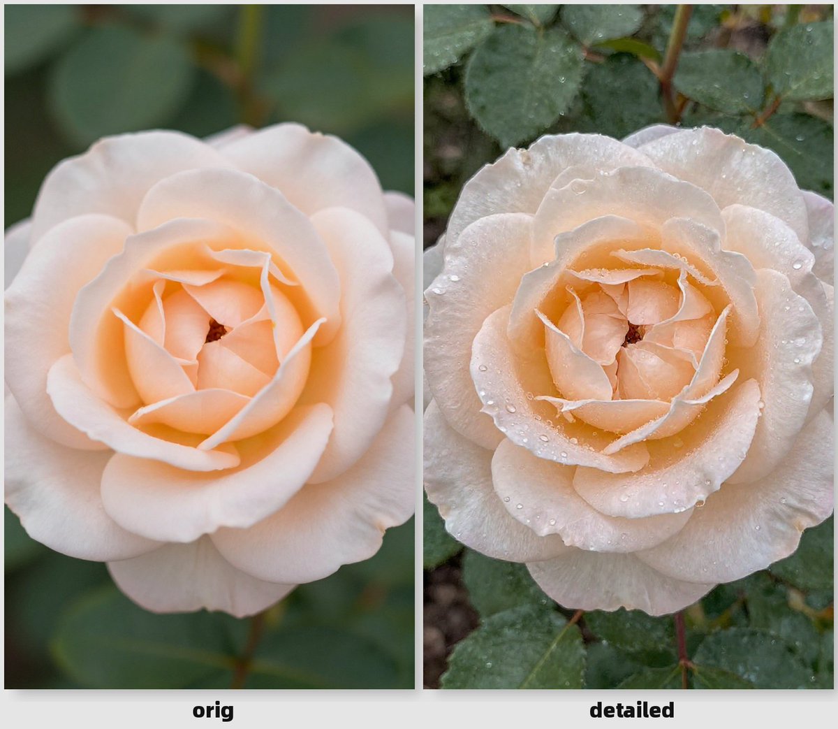 orig vs detailed grid