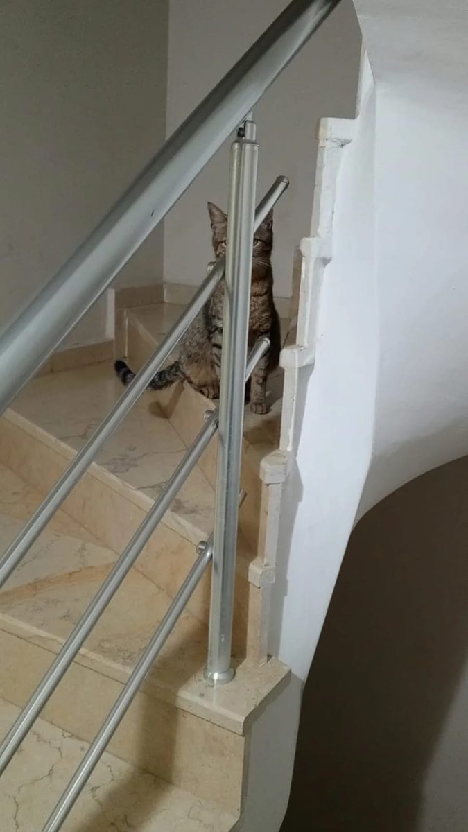 Engin BALCI tweet media