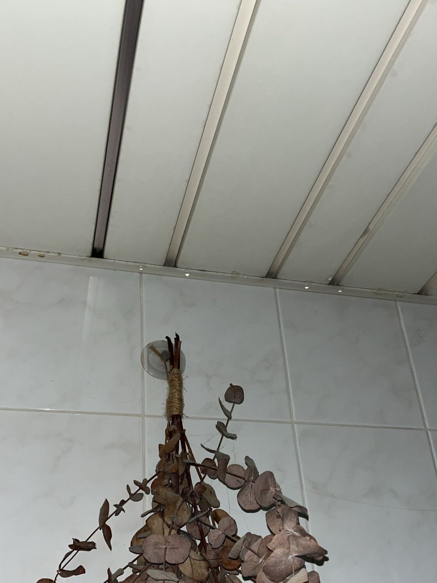 Drekel79's tweet photo. @Eneco Vanaf dag 1 #montage al #lekkage gehad. Dak pijpen die niet goed gezet worden. Slangen niet terug hangen in afvoer (was niet de 1e X) en nu weer!!! Hoe gaan we dit oplossen?? Betaal me scheel en heb alleen maar #waterschade Wat zijn dit voor #monteurs #amateurs #eneco https://t.co/UvNUPfqqeT