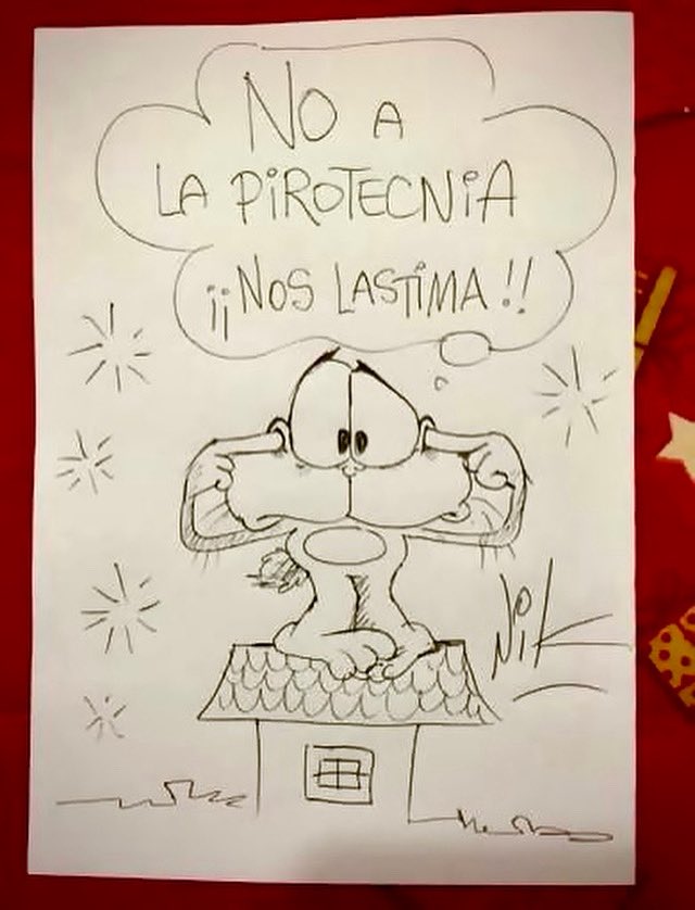 Nikgaturro's tweet image. Prohibida la pirotecnia sonora que afecta la salud de personas mayores, personas con TEA, mascotas y altera el ecosistema urbano. 🙁😖😡😵🙀🐶