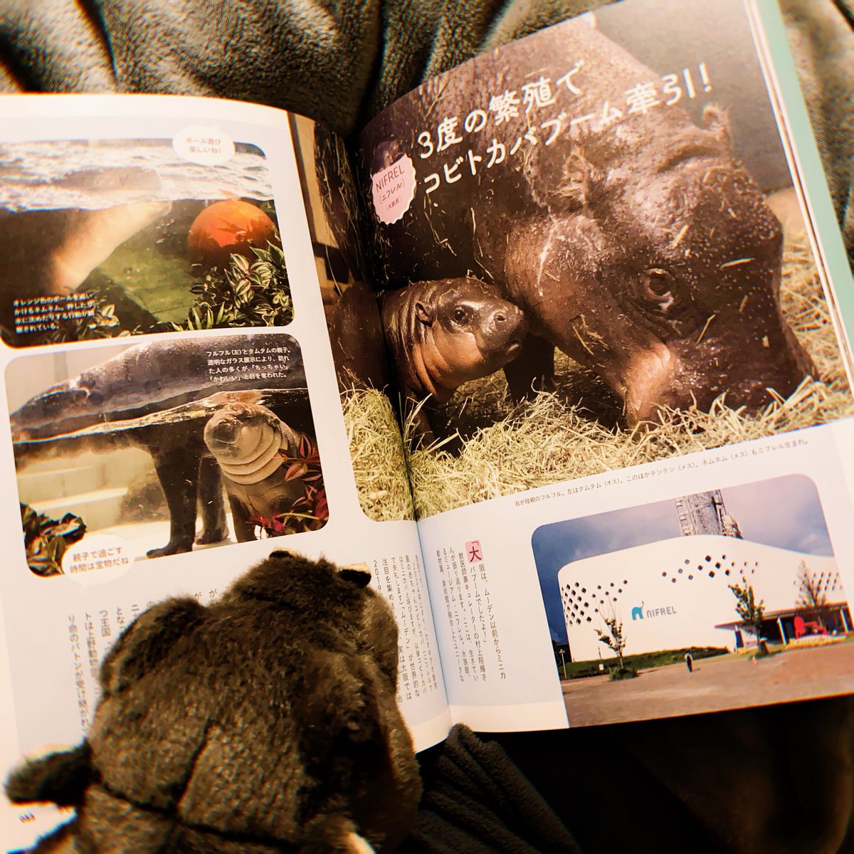 ベニアズマ イモミ@2025年もありがとう💜 (@beniazuma_imomi) / Posts / X