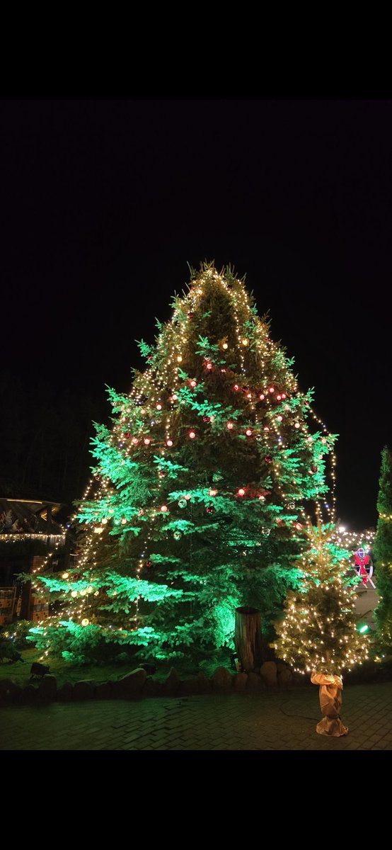 🅰️lex tweet media