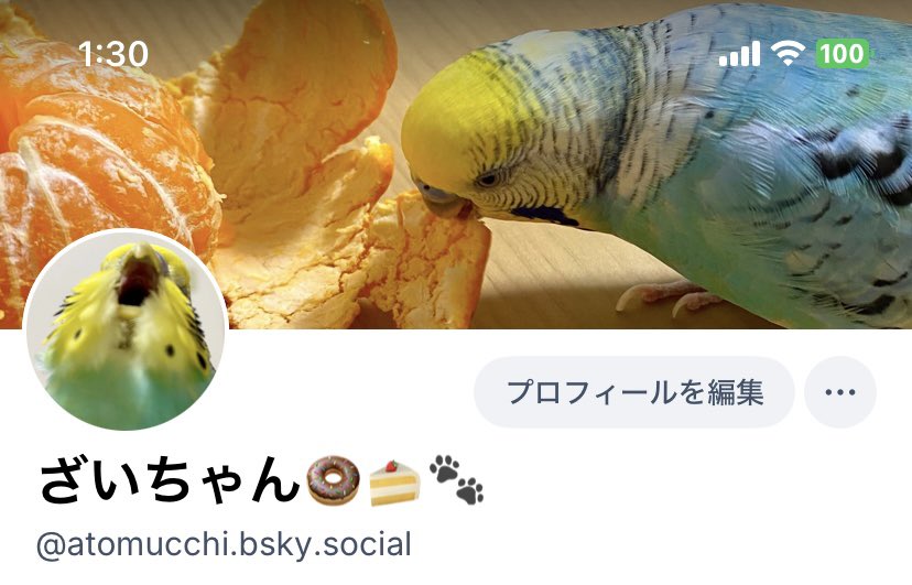 ざいちゃん🍩🍰🐾 tweet media