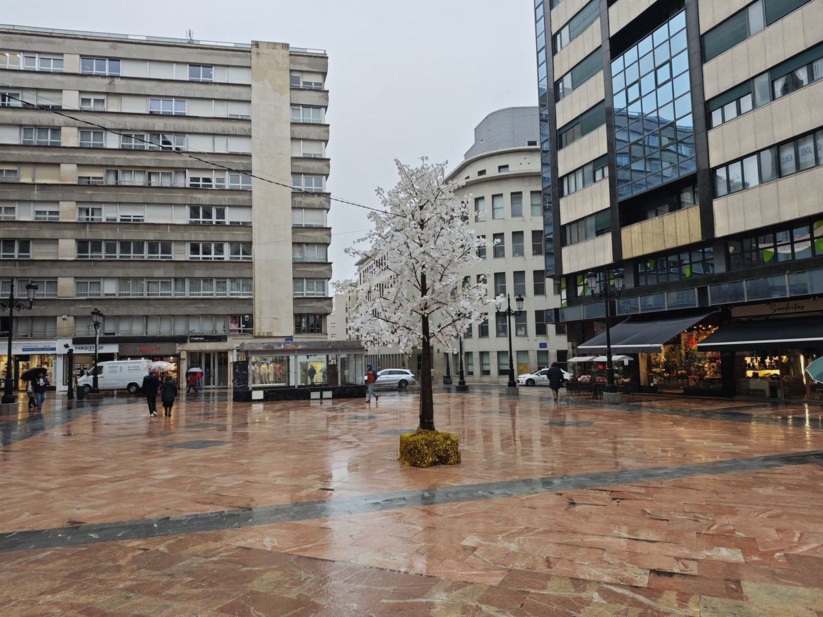 UnMateinCabreao's tweet image. renaturalizada como a Fredi le gusta #Oviejo #AsfaltaPraos