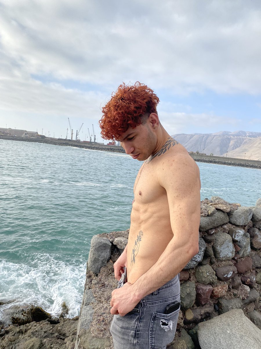 gregory torrez tweet media