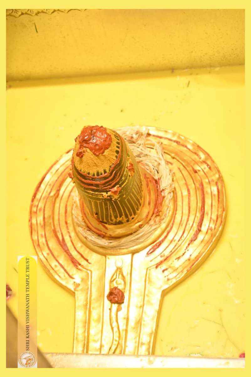 ShriVishwanath's tweet photo. श्री काशी विश्वनाथ जी की सप्तऋषि आरती I
#kashivishwanath #kashi #sanatandharma #banaras https://t.co/e9vkBf08VE