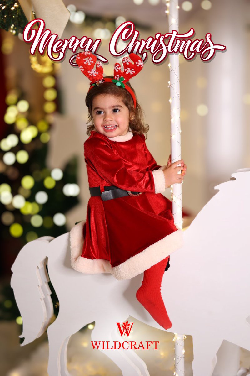 Merry Christmas 🎄 from <a href="/wildcraft_leb/">Wildcraft Lebanon</a> by Alexandre Nehme 

Follow or channel for more tips: 
whatsapp.com/channel/0029Vb…