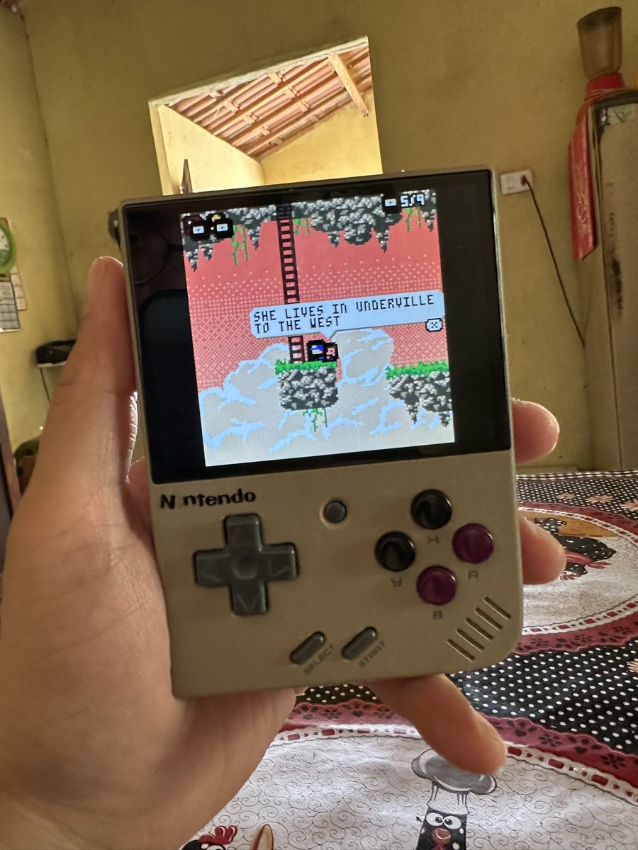 💾 Izzy Nobre🐁 tweet media