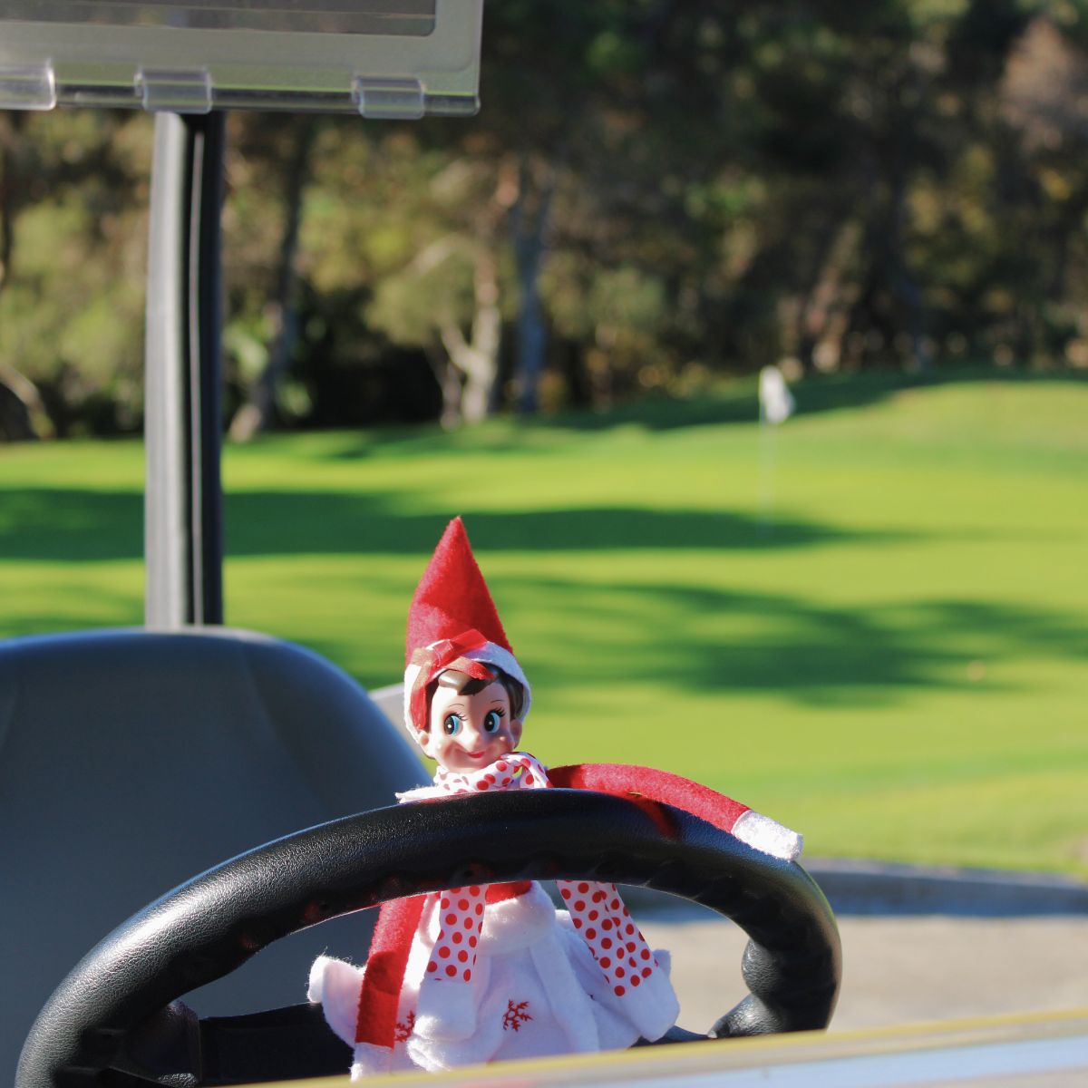 JC Golf tweet media