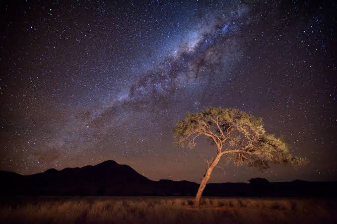 ConCaracal's tweet image. Welkom o stille nag van vrede,
Onder die suiderkruis,
Wyl stemme uit die ou verlede
Oor sterre velde ruis.

Kerfees kom, Kersfees kom
Gee aan God die eer.
Skenk ons 'n helder Somerkersfees 
In hierdie land, o Heer.

🎶 🌟 ✝️ 🔔