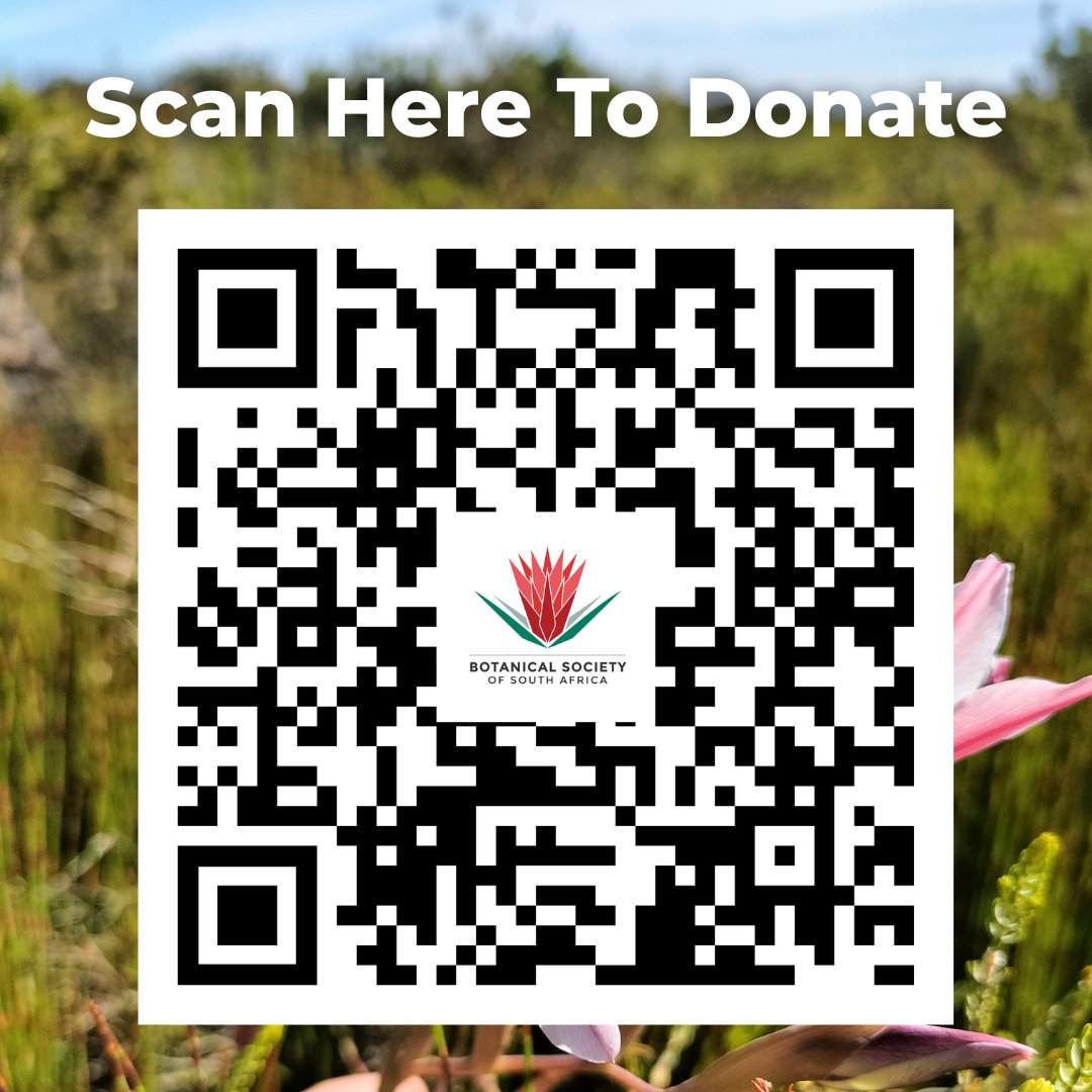 BotSocSA tweet media