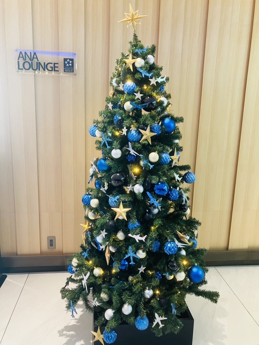 pomuha115's tweet photo. クリスマスツリー探し🎄
77個目は羽田空港ANAラウンジ✈️オーナメントが飛行機で、飛行機好きにはたまらない💫

#xmastree
#christmastree
#クリスマスツリー探し2025🎄 https://t.co/FCs3q1QnJx