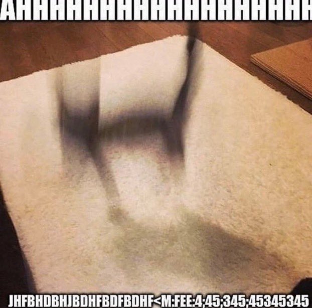 marioassente's tweet image. 