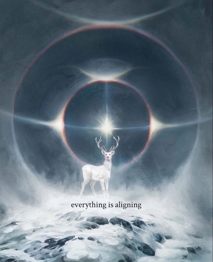 thematrixwizard's tweet image. 