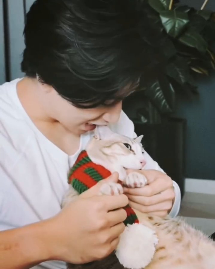 ୧*･𝙼𝚘𝚘𝚗𝚕𝚒𝚝.🌘⋆*𝟾𝚑𝚘𝚞𝚛𝚜🍀 tweet media