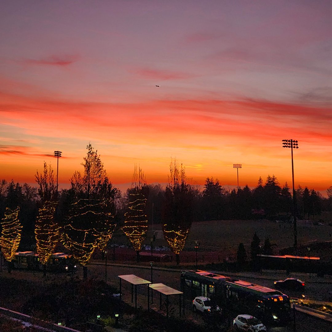 SFU Student Central tweet media