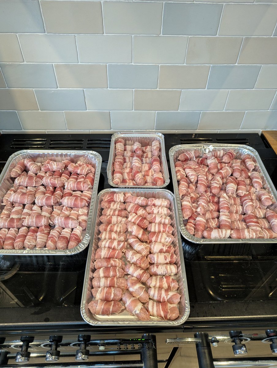 EdinburghNJS's tweet image. Do love a festive Pig in Blanket 😁 Millie obviously gets even more spoilt than usual at this time of year. Merry Christmas all. #RescueDogs #pigsinblanket