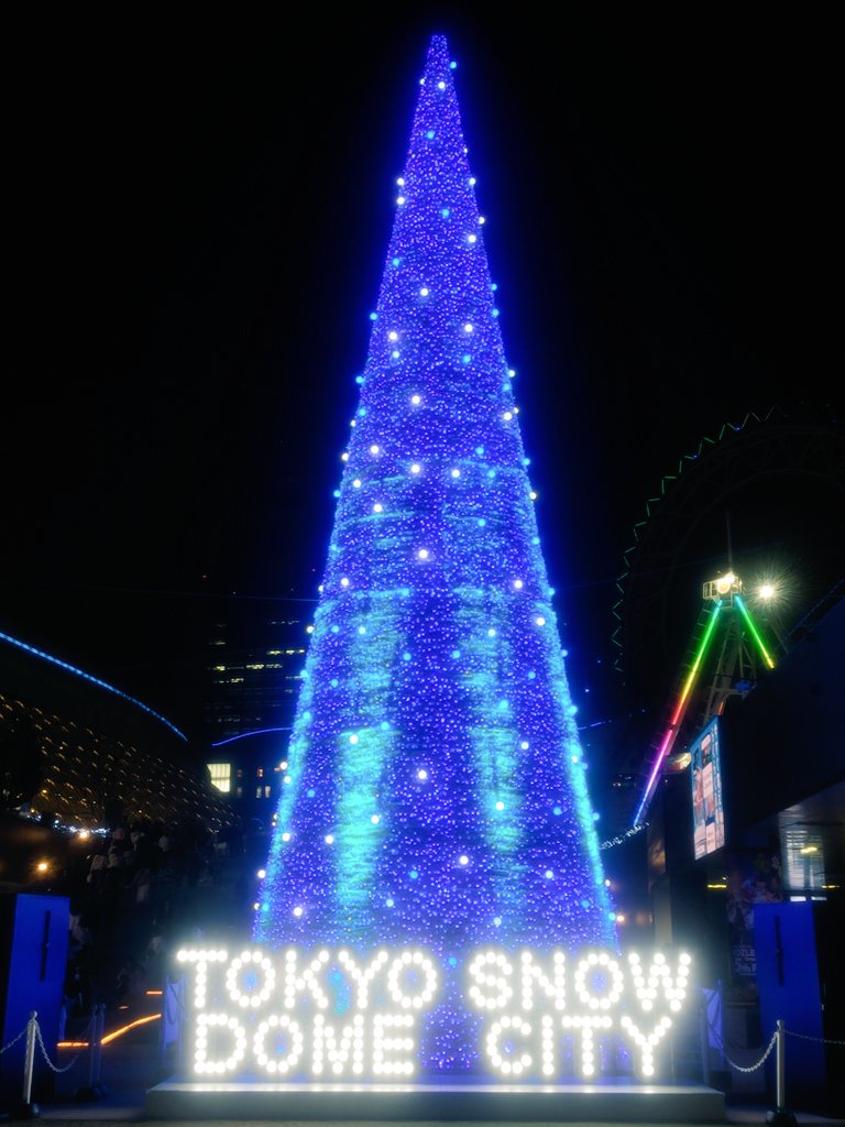 Merry Christmas！🎄🎅

色々な場所を訪れたときに見たツリー
たち🎄*⋆(*ˊ˘ˋ*)