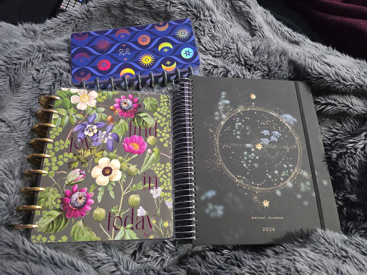 Got my 3 planners for 2026. My personal planner, stream planner, and then my tarot journal/planer