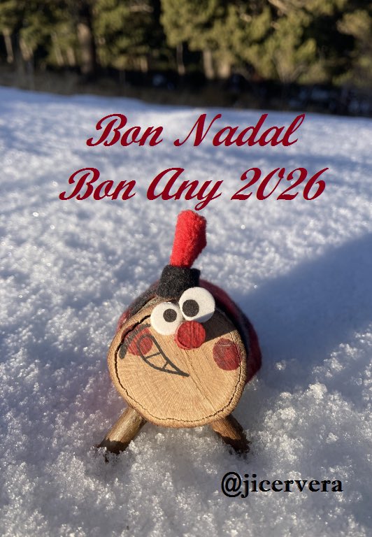 JICervera's tweet image. #BonNadal #BonAny2026 #MerryChristmas 🎄🏔️ #Pirineus #Pyrenees
youtu.be/iNfEf6a1zuo?si…