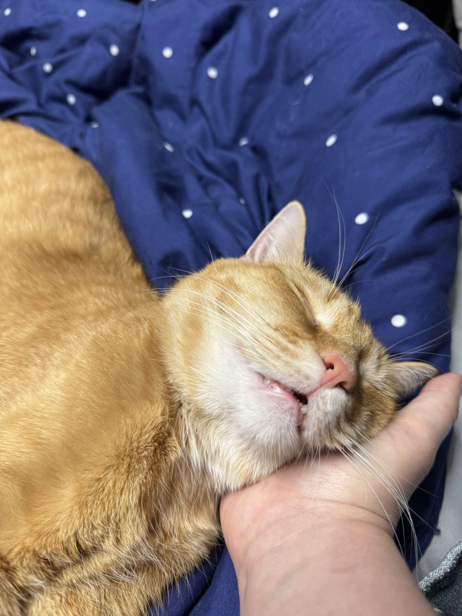 jas ⭐️ tweet media