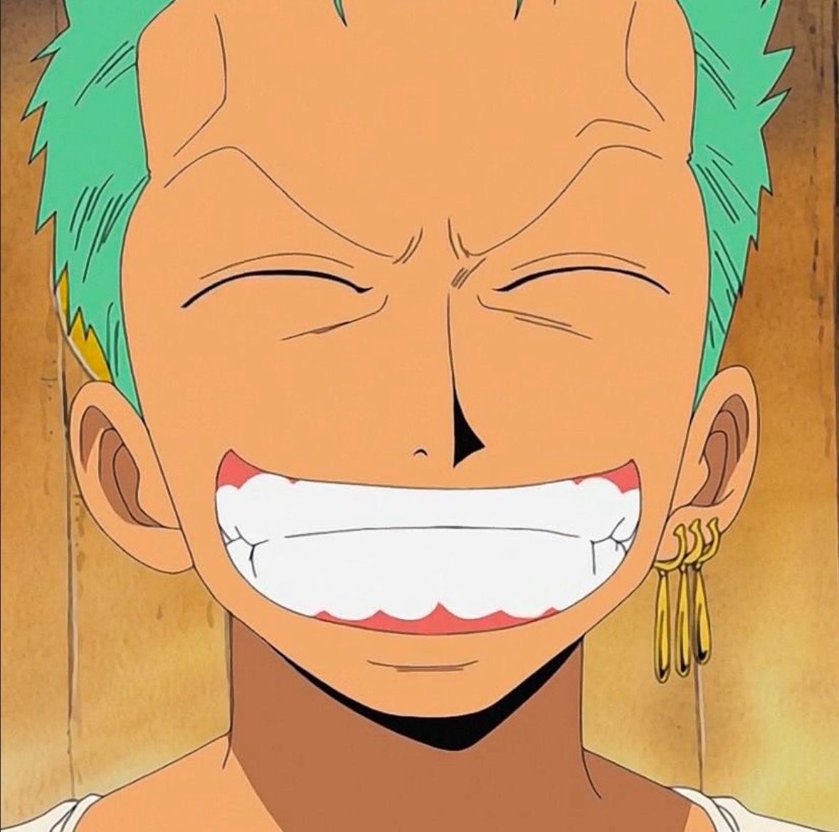 Zoro Daily tweet media