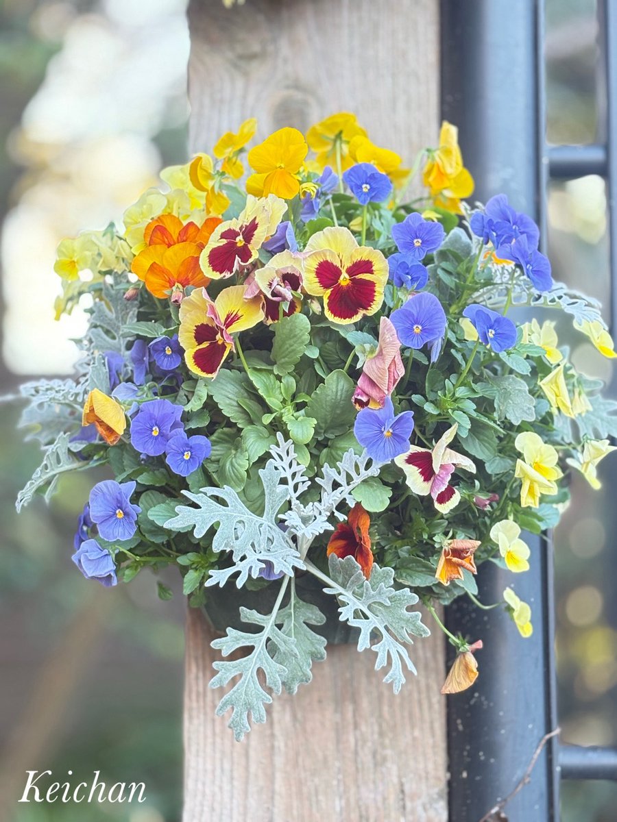 けいちゃんページ けいちゃん (@k1222_keichan) / Posts / X