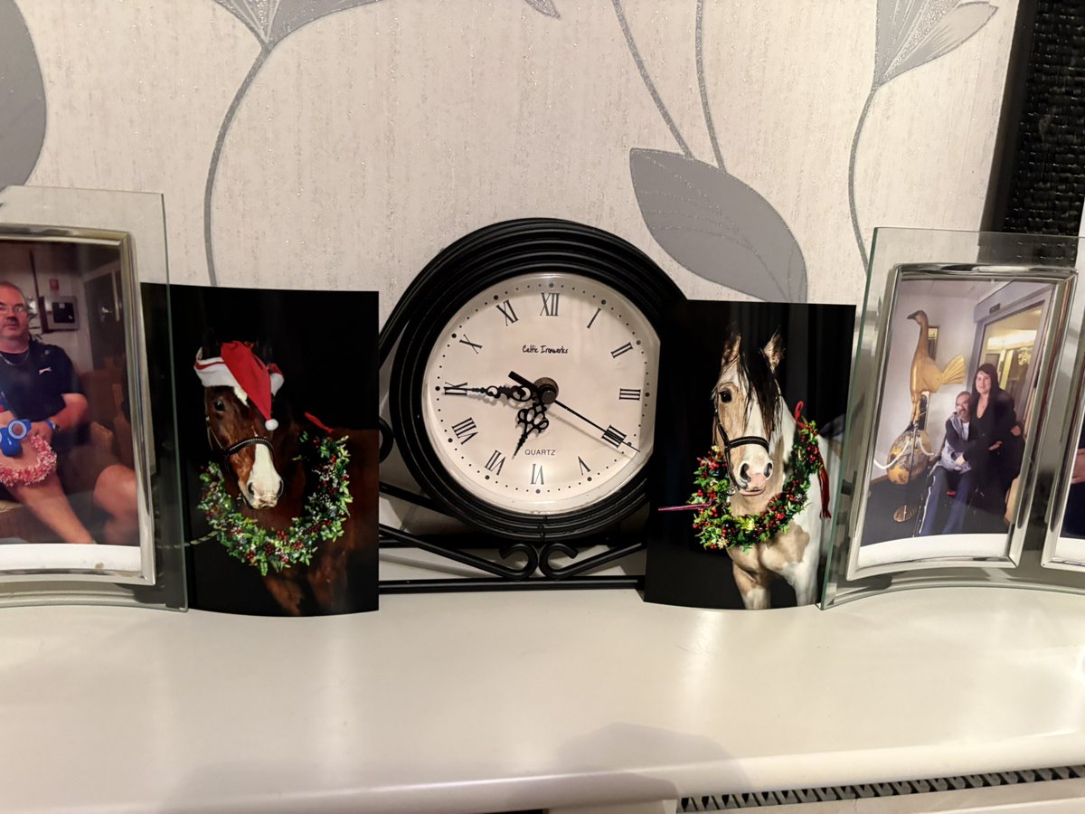 iveetsa's tweet image. The only Christmas decorations we have up in the house. My lovely festive ponios 🥰