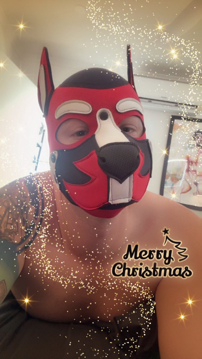 🤛Brispupff tweet media