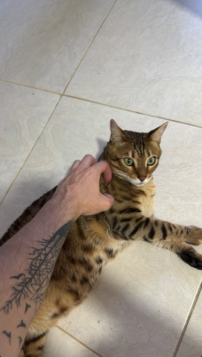 📲 | Robleis via Instagram stories!