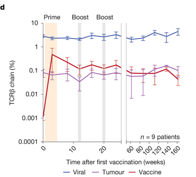 DrChoueiri's tweet photo. 4/ Our very own @BraunMDPhD’s personalized neoantigen vaccine in high-risk ccRCC in @Nature (Work from #WuLab @DanaFarber who pioneered that technology). Hits driver mutations (VHL, PBRM1, BAP1, KDM5C, PIK3CA) & generates durable T-cell expansion and tumor recognition. 0/9 recurrences at ~40 months. Promising adjuvant therapy in RCC!
@DanaFarber @DanaFarber_GU @Yale
https://t.co/BdbKJqMKOw