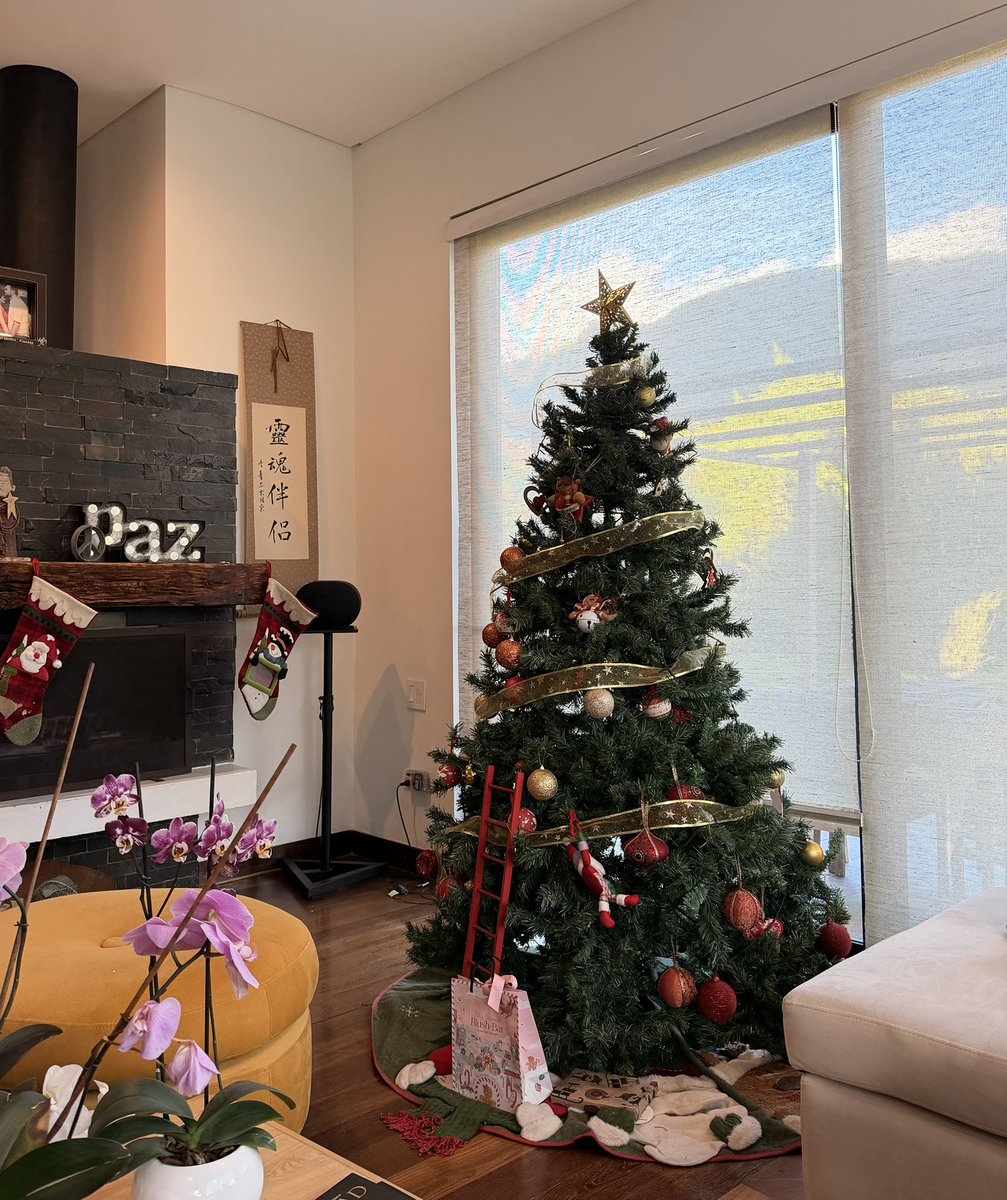 Santiago Cruz tweet media