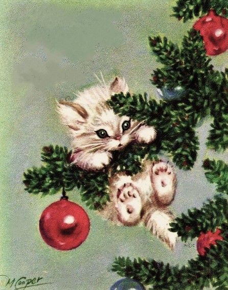 cutedreamvibes's tweet image. 