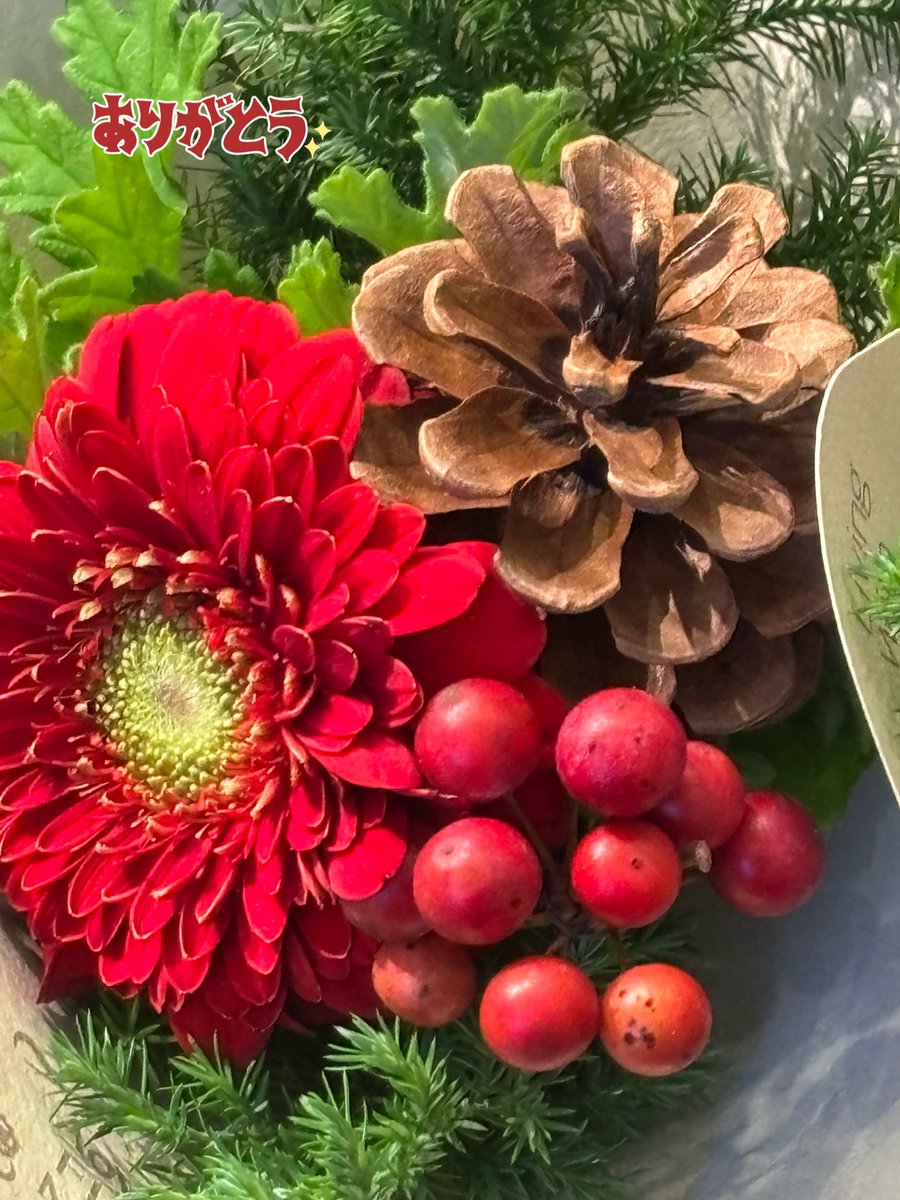 母まる (@Ha9Ha6maru3DA21) / Posts / X